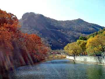 新澳门二四六天天彩，花钱价格